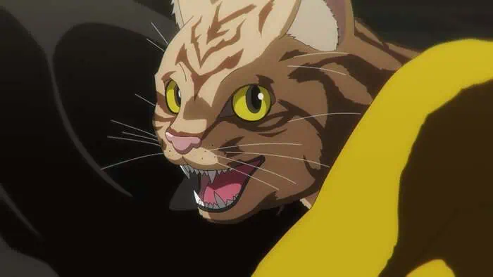 Image Nyaito obu za Ribingu Kyatto